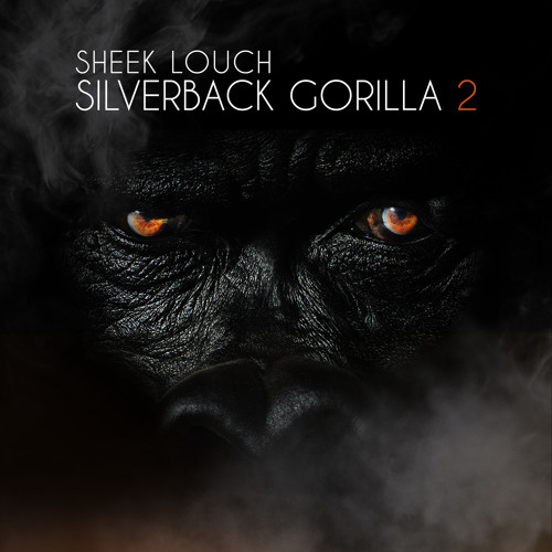 SilverBack Gorrilla 2